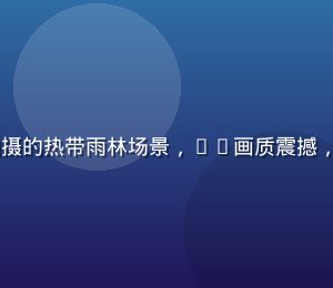 BBC自然纪录片宏观视角拍摄的热带雨林场景，4K画质震撼，纪录片视频在线观看探索世界